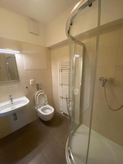 Garden Apartment Karolina Ostrava Ngoại thất bức ảnh